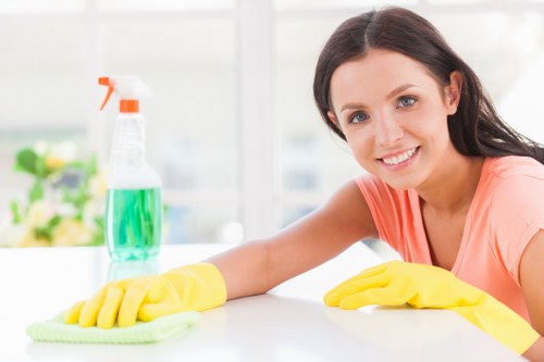 Illustration of ethical workplace commitment for Cleaners Hollandpark