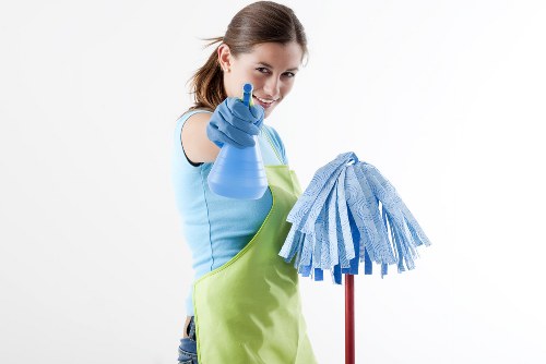 Facade cleaning service for Hollandpark property exteriors