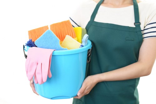 Professional deep cleaning for a Hollandpark home interior