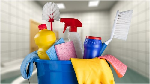Deep cleaning service for a Hollandpark flat or apartment