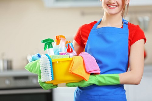 Technician treating stains during mattress cleaning in Hollandpark