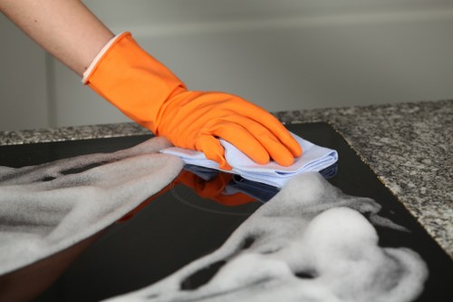 Technician inspecting pet stain and odour damage on a carpet in a Hollandpark home