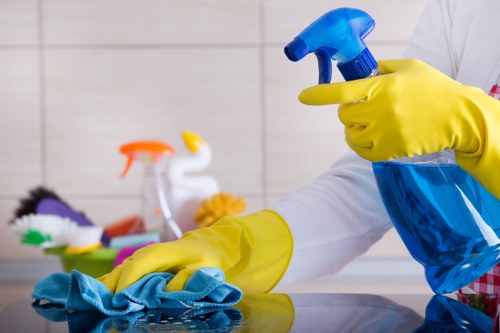 Upholstery cleaning service for a sofa in a Hollandpark living room