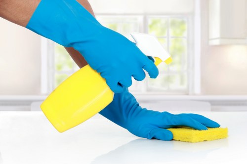 Local cleaners working in a Holland Park home after renovation or before moving in