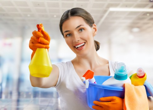 Cleaner working in a Hollandpark family home living area