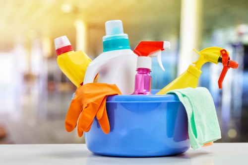 Rug cleaning service for a home in Hollandpark