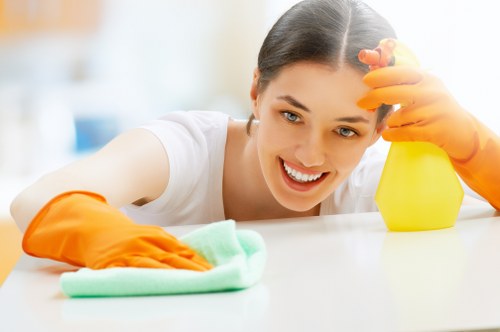 Detailed domestic and commercial cleaning service for customers in Holland Park