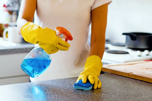 Deep cleaning kitchen surfaces and appliances during a Hollandpark tenancy changeover