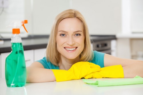 Professional Airbnb turnover cleaning in a Hollandpark short-let apartment