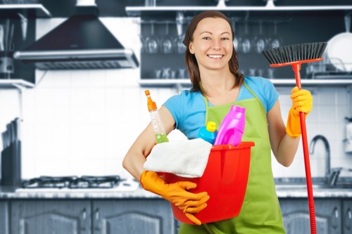 Professional house cleaning team in a Hollandpark townhouse