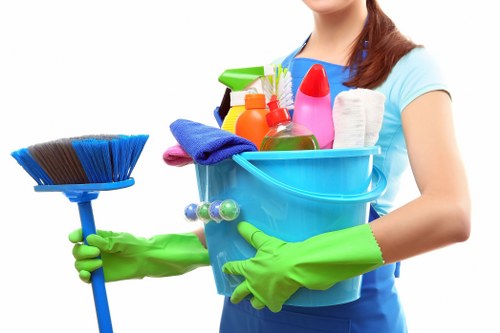 Deep cleaning equipment used on a mattress in a local Hollandpark property