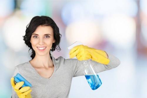 Patio cleaning service in Hollandpark removing algae from paving