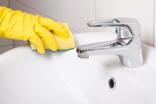 Domestic cleaning service for a Hollandpark period home