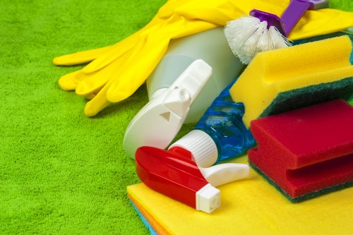 Professional cleaning arrangement for Hollandpark business properties