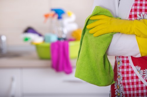 Upholstery cleaning process for a fabric sofa in Hollandpark