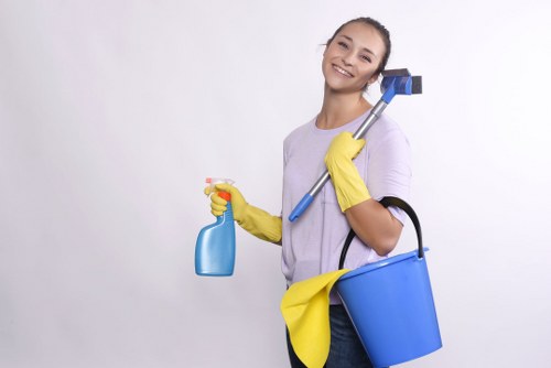 Professional cleaners sanitising desks and shared office surfaces in Hollandpark