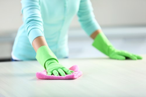 Professional cleaners in Holland Park preparing a clean residential space