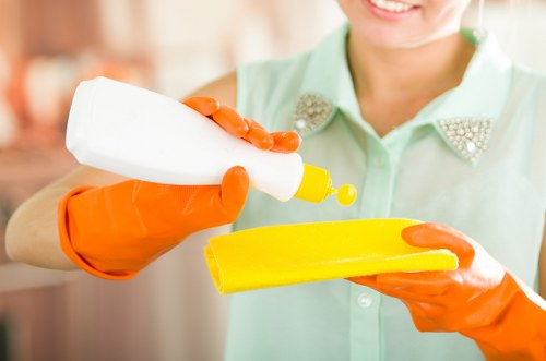 Local cleaning service for homes near Hollandpark