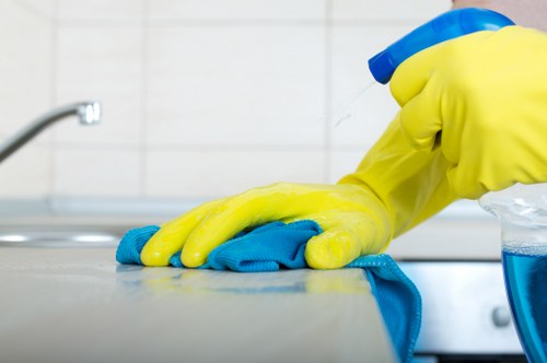 Professional house cleaning in a Hollandpark apartment