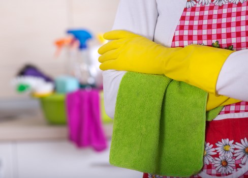 Professional fabric chair cleaning in a Hollandpark property