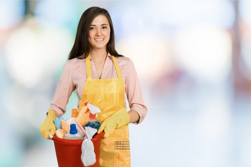Post-renovation cleaning in Hollandpark for a commercial or residential property ready for use
