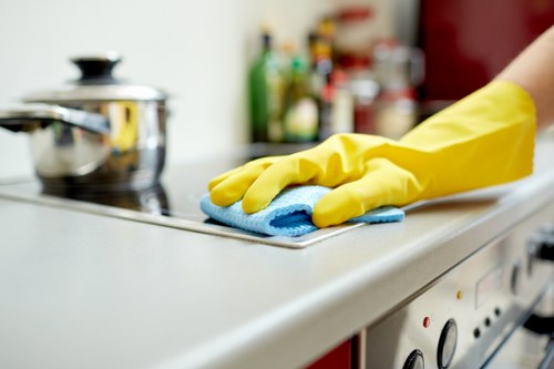 End of tenancy bathroom cleaning in a Hollandpark apartment