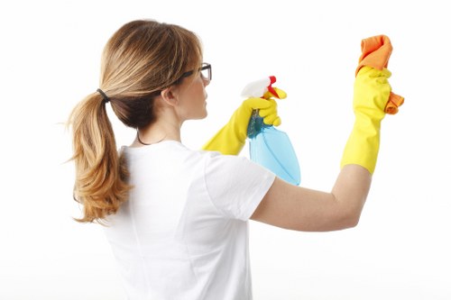Local carpet cleaner treating stains in a Hollandpark property