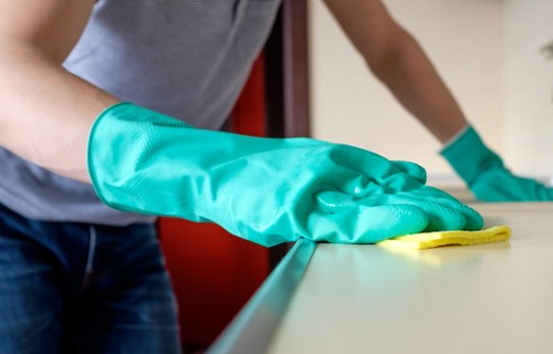 Detailed kitchen deep cleaning in Hollandpark property