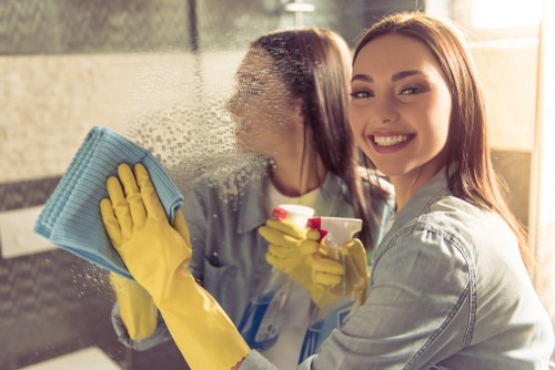 Regular domestic cleaning for a family home in Hollandpark