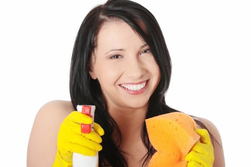 Local cleaning team working in a Hollandpark apartment with careful access considerations