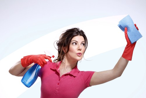 Professional cleaning of oven racks and trays in Hollandpark