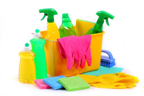 Thorough bathroom and living space cleaning in Hollandpark