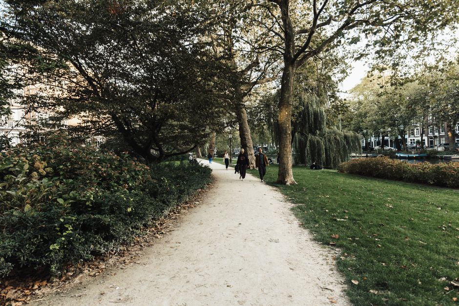 A well-maintained park pathway with a light-colored, compacted dirt surface, bordered by lush green grass and dense shrubbery on the left. Several mature trees with leafy branches extend overhead, providing partial shade. In the distance, a few pedestrians walk along the path, dressed in casual clothing. The scene is illuminated by soft, natural daylight, highlighting the cleanliness and natural beauty of the park. The surroundings include residential buildings partially visible through the trees, contributing to a tranquil, residential atmosphere. The image emphasizes the importance of outdoor surface maintenance for family-friendly, hygienic outdoor spaces. Cleaners Holland Park specializes in surface cleaning and deep cleaning services to keep such areas safe and inviting, aligning with their focus on domestic and outdoor cleaning solutions.